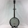 Custom Washburn 5-String Banjo #1 small image