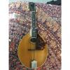 Custom Gibson A1 Mandolin 1916 Natural #1 small image
