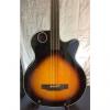 Custom Boulder Creek EBR1-TB4FE Solid Spruce Top Acoustic Electric Fretless Bass -Hardshell-$95 w/purchase