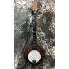 Custom Used Goldtone EB-5 Electric 5 String Banjo