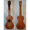 Custom Vintage 1920s Richter Duncan Sisters soprano ukulele