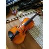 Custom Eastman Strings Samuel Eastman VL 100 Size 4/4