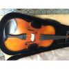 Custom gewa pure violin set 4/4 EW