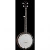 Custom DEAN Backwoods 3 5-string traditional resonator Banjo NEW #1 small image