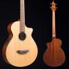 Custom Breedlove Atlas Bass ABJ250 With OHSC 4406 USED #1 small image