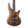 Custom Ibanez SR650-ABS Bass Guitar, Antique Brown Stain Finish