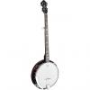 Custom Mitchell MBJ200 Deluxe 5-String Banjo #1 small image