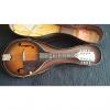 Custom Gibson Mandolin A40 1950's 2 Color Sunburst