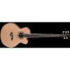 Custom Dean Acoustic/Electric Bass CAW 5 String - SN #1 small image