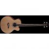 Custom Dean Acoustic/Electric Bass CAW - SN #1 small image