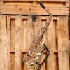 Custom Buffet Crampon Student Alto Saxophone Outfit *Rental Inventory Closeout* 2010's Brass Lacquer #1 small image