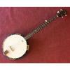 Custom Savannah SB-80 5 String Banjo Sunburst