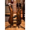 Custom NAMM Spector NS-2 Water Cured Redwood Gloss Bass Guitar