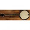 Custom Ibanez B50 5-String Banjo 2016