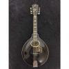 Custom Gibson A4 Mandolin - 1906