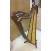 Custom Roosebeck Ashley Harp 2014 Rosewood