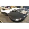 Custom Fender Mike Dirnt Precision Bass
