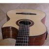 Custom Hanika Cut Pro spruce top electric crossover guitar #1 small image