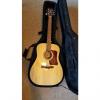 Custom Sierra SDS33 Acoustic Dreadnought + Case #1 small image