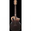 Custom Michael Kelly Forte Port X Partial Eclipse acoustic electric guitar - Port sound hole #1 small image