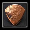 Custom Guitar Plectrum, Pick.  Golden State Mint, Walking Liberty Cooper Bullion Coin. #1 small image