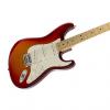 Custom Fender Standard Stratocaster Plus Top Aged Cherry Burst Maple #1 small image