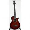 Custom Ibanez AEGB14E Acoustic Electric Bass Guitar