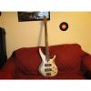 Custom Yamaha  &quot;TRBX304&quot; 4-String Bass 2014 (Pewter)