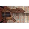 Custom Kenneth Lawrence ChamberBrase II 5 string bass guitar 2016 Natural Matte #1 small image