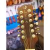 Custom Luna Guitars Muse 12-String Acoustic-Electric Guitar