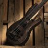 Custom ESP LTD B-205 SM 5-String Electric Bass Guitar 2010's Spalted Maple