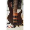 Custom Peavey Grind 5 String Bass