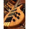 Custom Wolf TM5 Neck Through 5 String Bass Gloss Natural