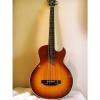 Custom Washburn AB-25 5 String Acoustic Electric Bass
