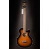 Custom Ibanez AEB10EDVS AE Acoustic Electric Bass Dark Violin Sunburst