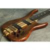 Custom Alembic The Europa 5 string #1 small image