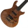 Custom 1982 Moonstone Eclipse Bass