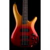 Custom Ibanez SR300E Electric Bass Guitar, 24 Frets, SR4 5-Piece Neck, PowerSpan Dual Coil Passive Pickup,