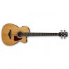 Custom Ibanez AVCB9CE 4-String Acoustic-Electric Bass Rosewood Fingerboard Natural #1 small image