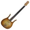 Custom Danelectro 58 Longhorn Bass guitar, Copper Burst #1 small image