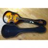 Custom Univox Maestro Violin Bass 2 with Softshell Case