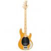 Custom Music Man StingRay Old Smoothie Bass MN Butterscotch Pre-Order