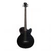 Custom Spector Timbre Series Acoustic Electric Bass Guitar Black #1 small image
