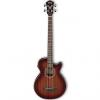 Custom Ibanez AEGB14EMHS Acoustic Bass - Mahogany Sunburst