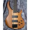 Custom Peavey Grind Bass 5 NTB