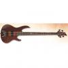 Custom ESP LTD D-4 Bass in Natural Stain