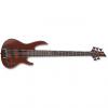 Custom ESP LTD D-5 Bass in Natural Stain #1 small image