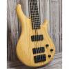 Custom Patrick Eggle Milan 5 String Bass