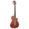 Custom Gold Tone ME-Bass, 23-Inch Scale Electric MicroBass, Fretless, with Gig Bag #1 small image