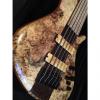 Custom Benevente custom bass 5 string bass  buckeye exotic woods